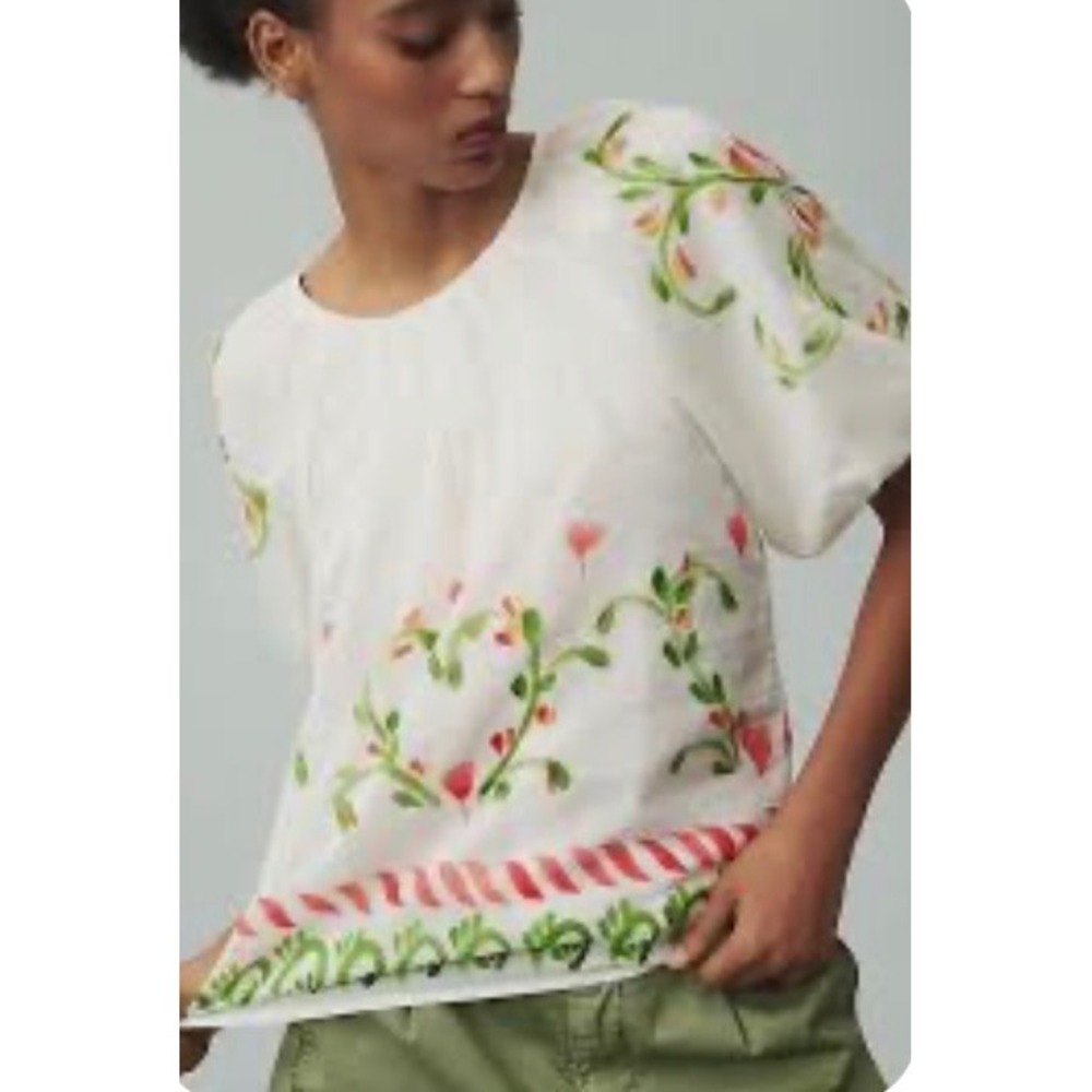 Banjanan Oana Top Hand Painted Watermelon Cotton Silk Puff Sleeve Blouse M NEW